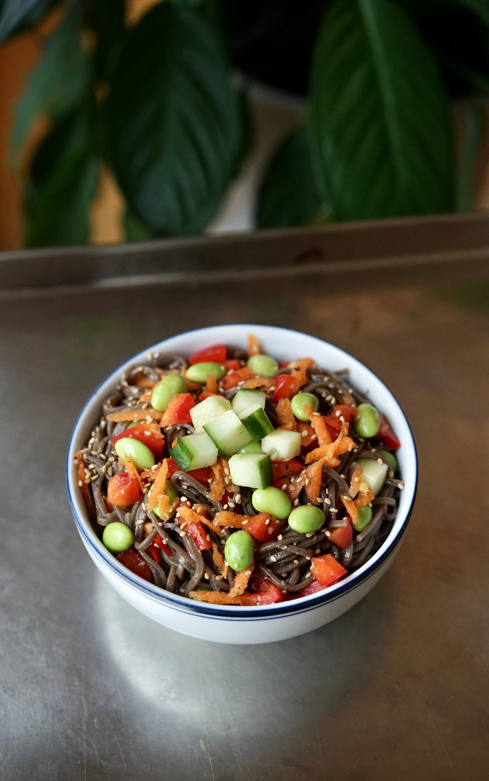Sesame Ginger Soba Noodles with Edamame & Raw Veggies | Living Healthy in Seattle