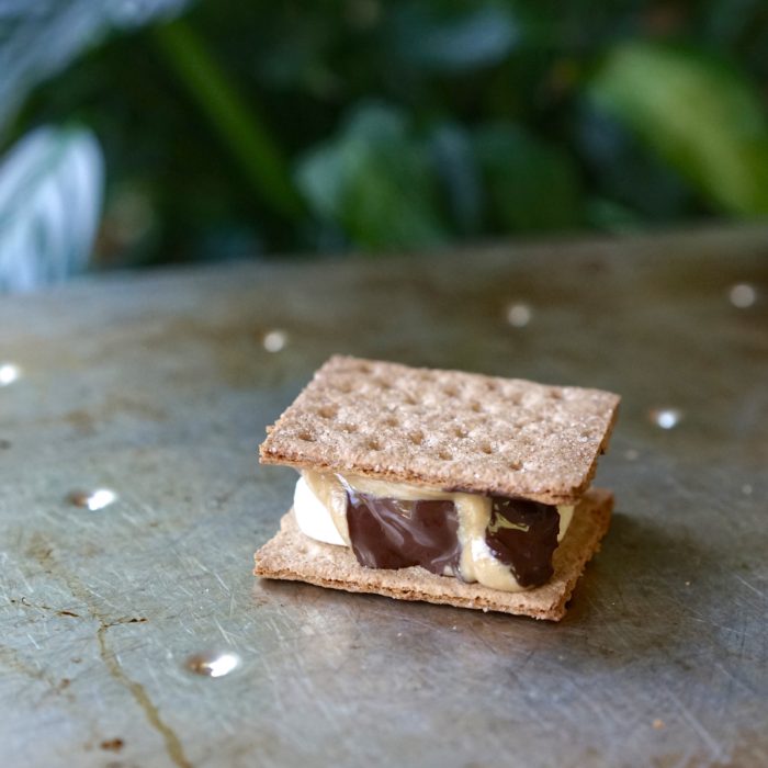 Easy Vegan Oven S'mores | Living Healthy in Seattle