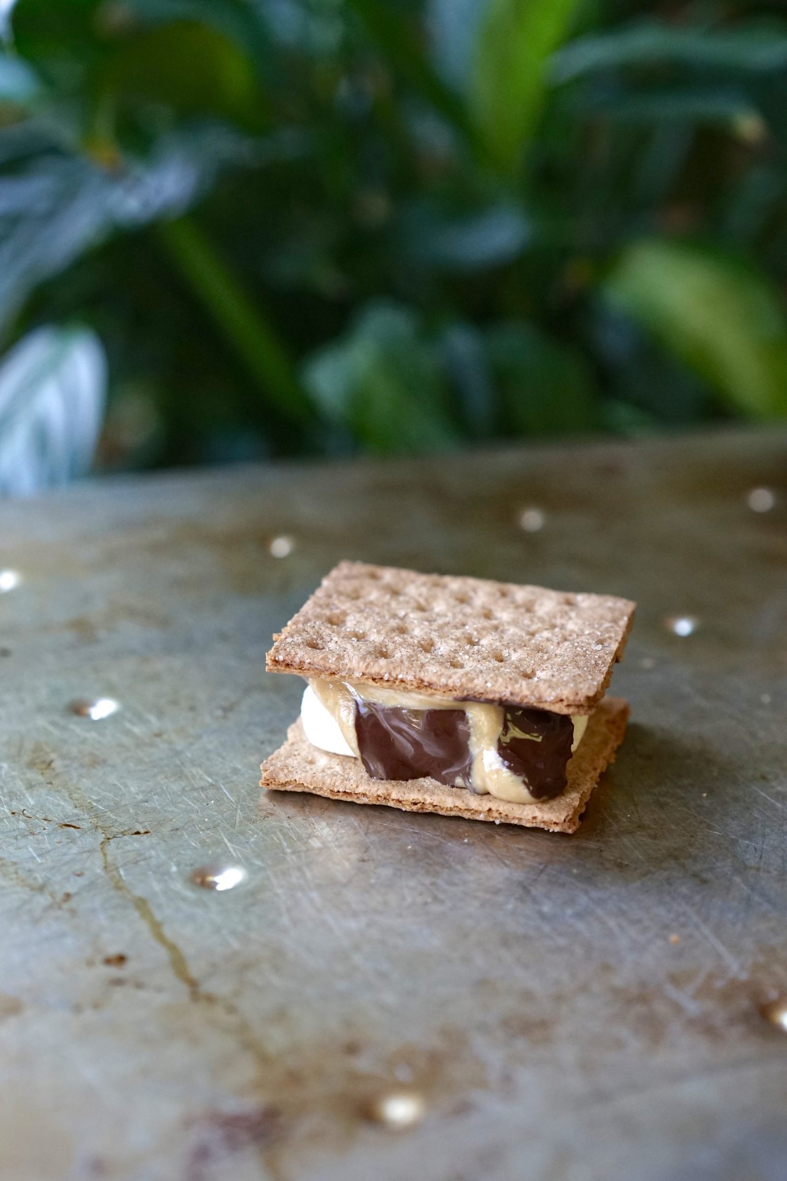 Easy Vegan Oven S'mores | Living Healthy in Seattle
