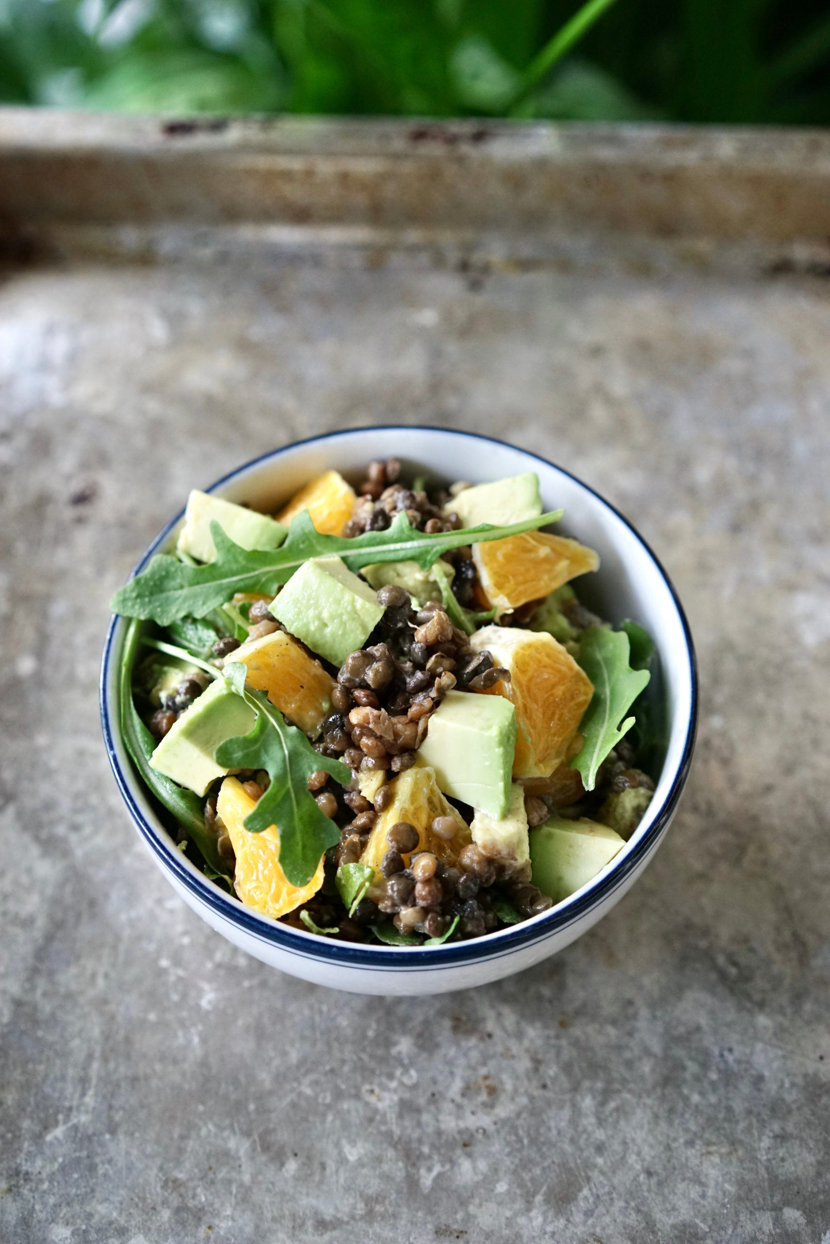 Citrusy Lentil Arugula Salad | Living Healthy in Seattle