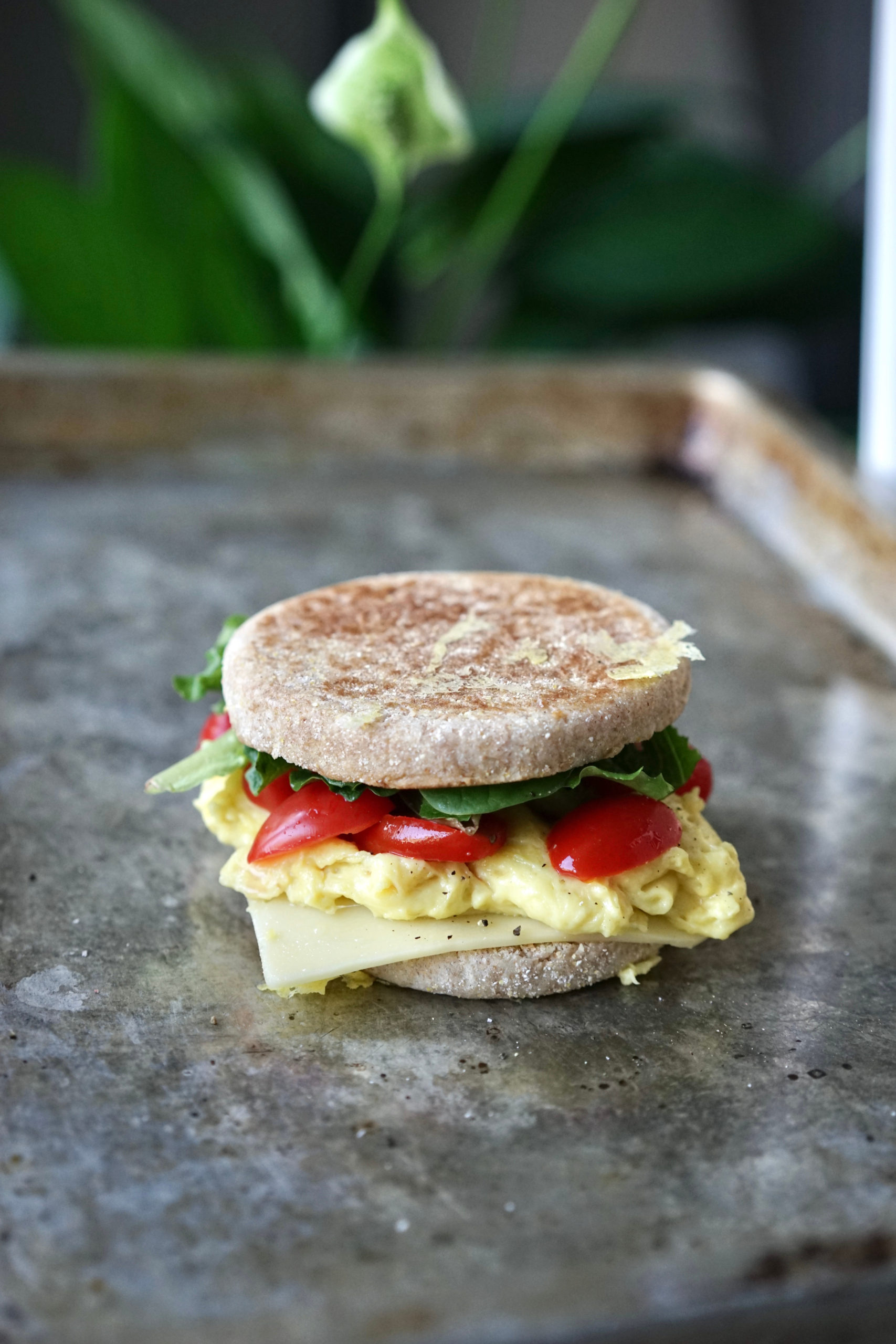 Eggs & Cheese Vegan Breakfast Sandwich | Living Healthy in Seattle