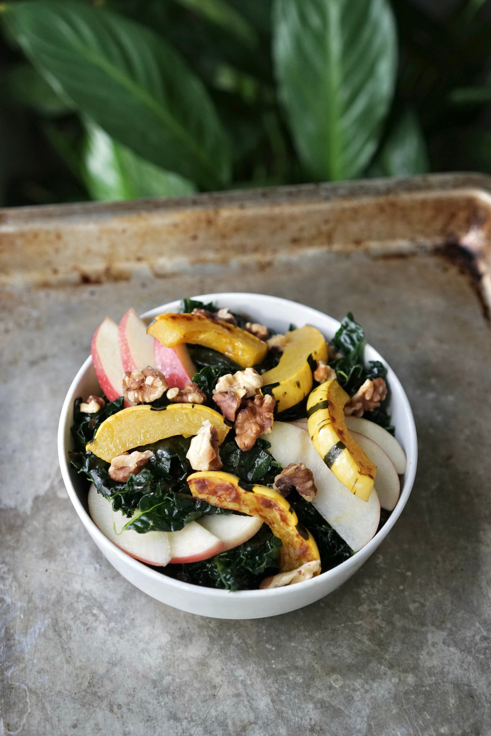 Fall Apple and Delicata Squash Recipe Salad