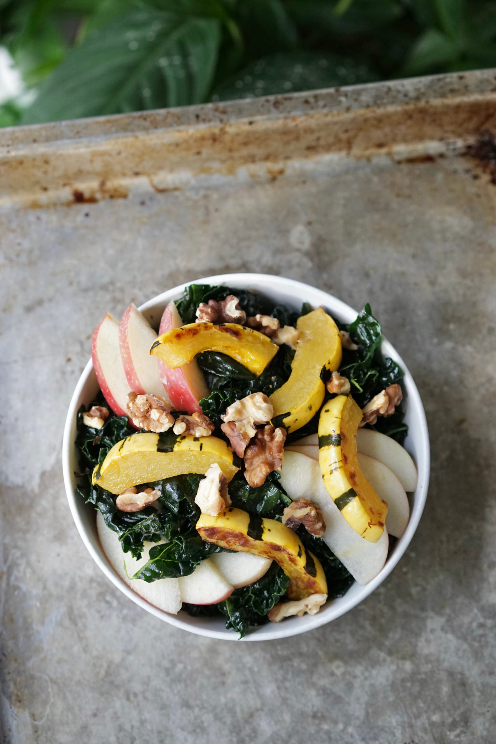 Fall Apple and Delicata Squash Recipe Salad