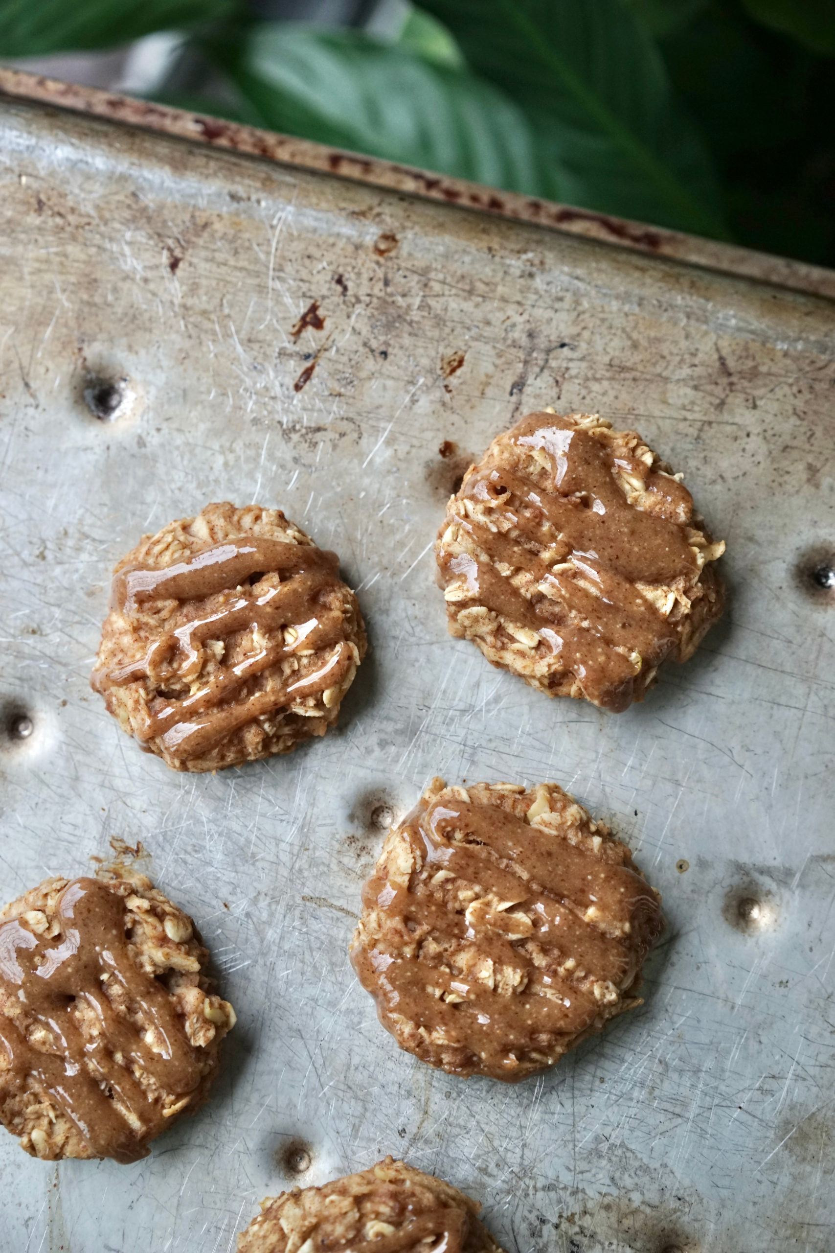 Vegan Apple Almond Baked Oatmeal Bites | Living Healthy in Seattle