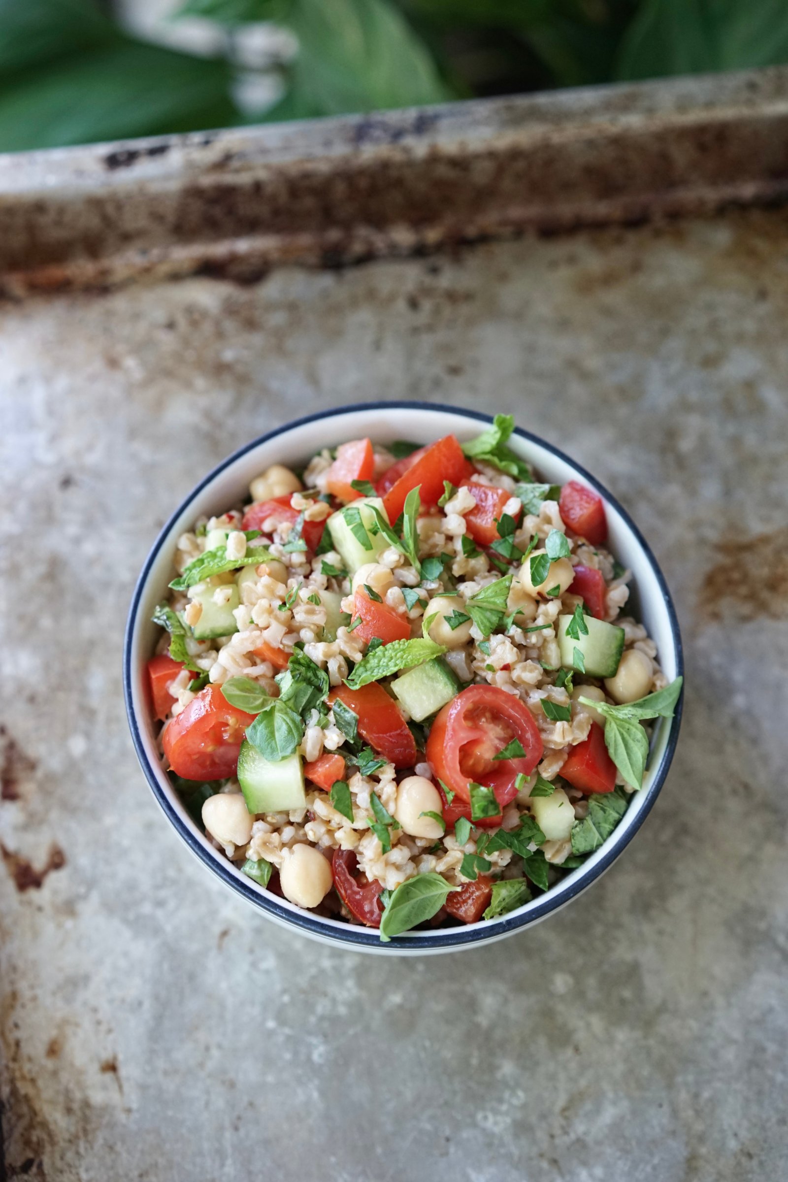 Lemon Herb Farro Salad with Chickpeas & Fresh Veggies | Living Healthy in Seattle