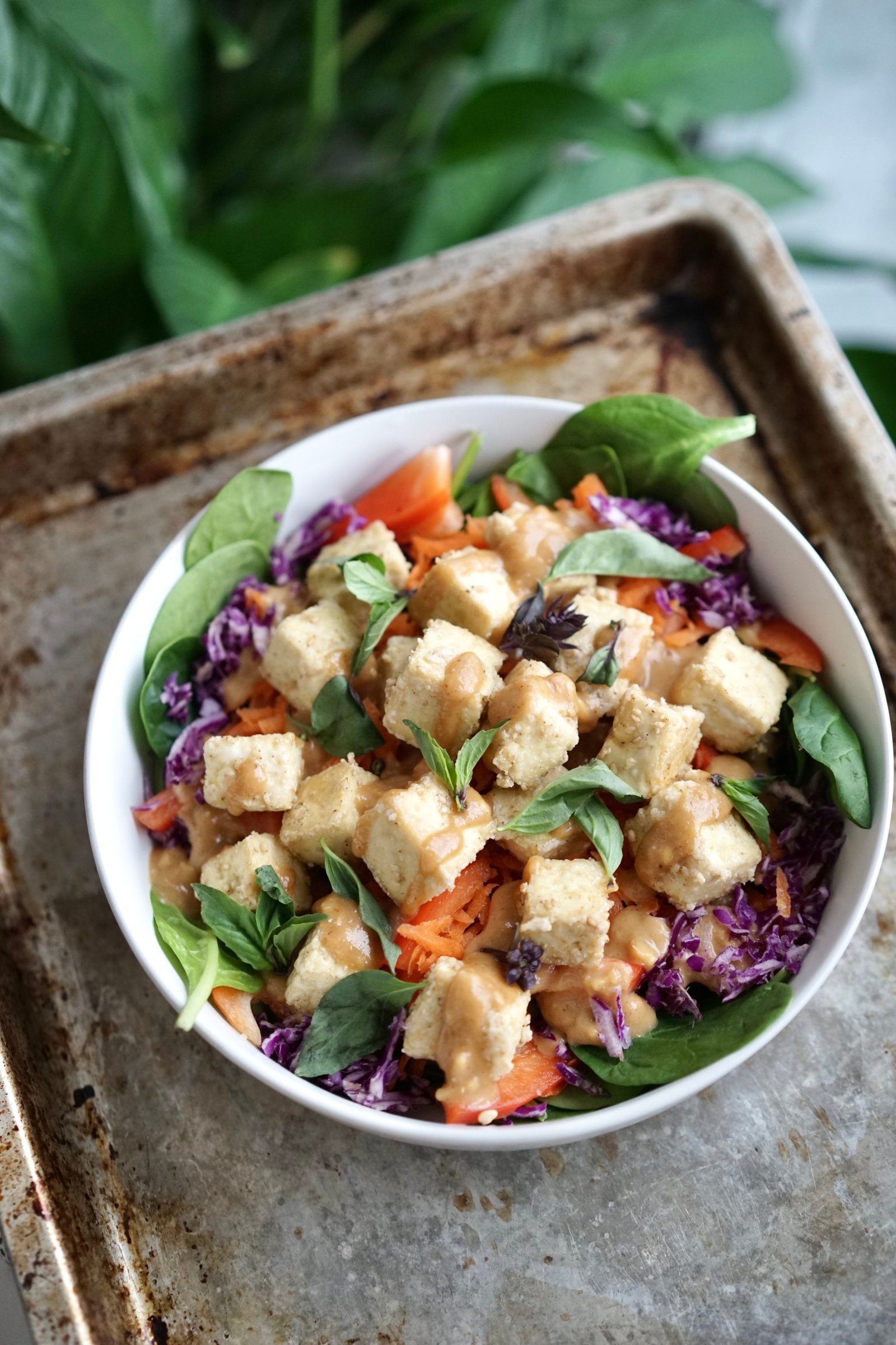 Crispy Baked Tofu & Raw Veggies with Peanut Miso Sauce | Living Healthy in Seattle