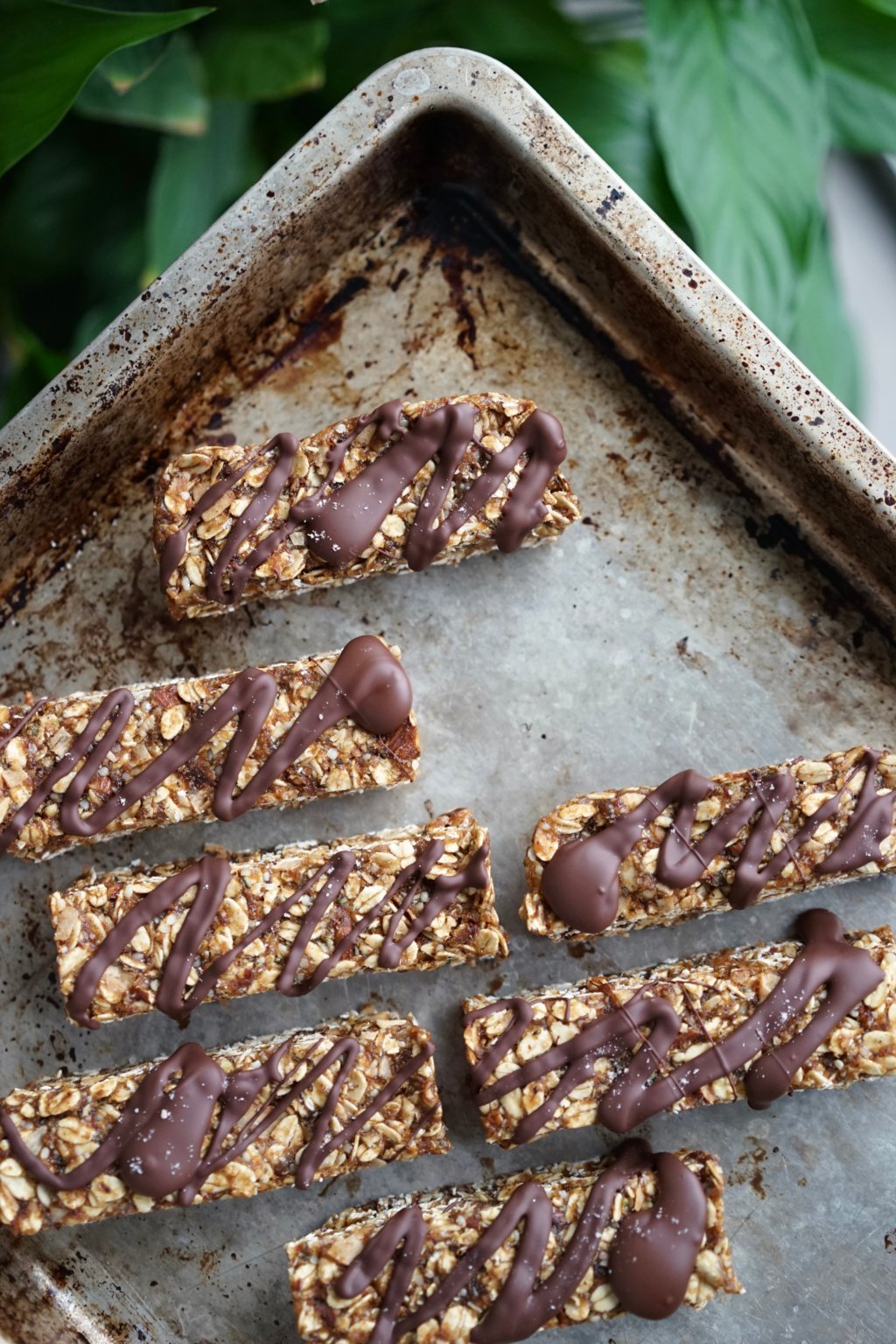Chewy Apricot Almond Granola Bars with Dark Chocolate Living Healthy