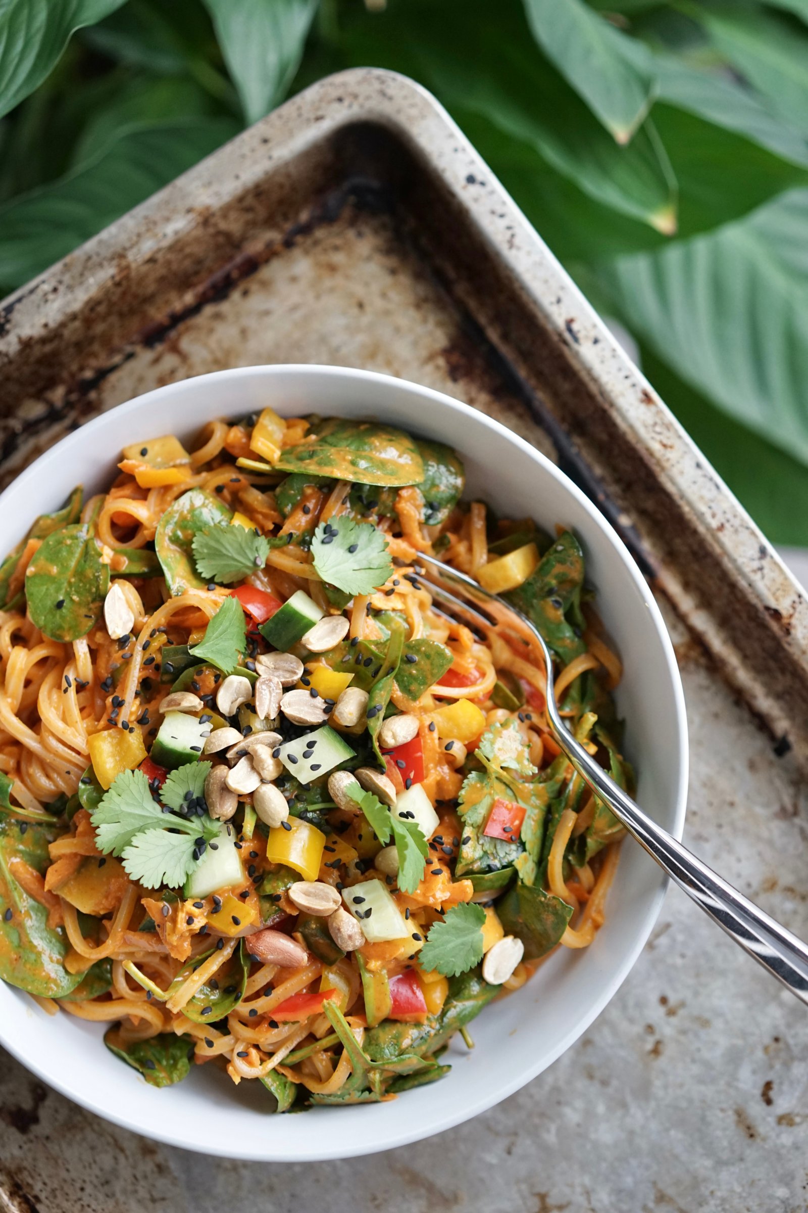 Gochujang Peanut Noodles with Veggies | Living Healthy in Seattle