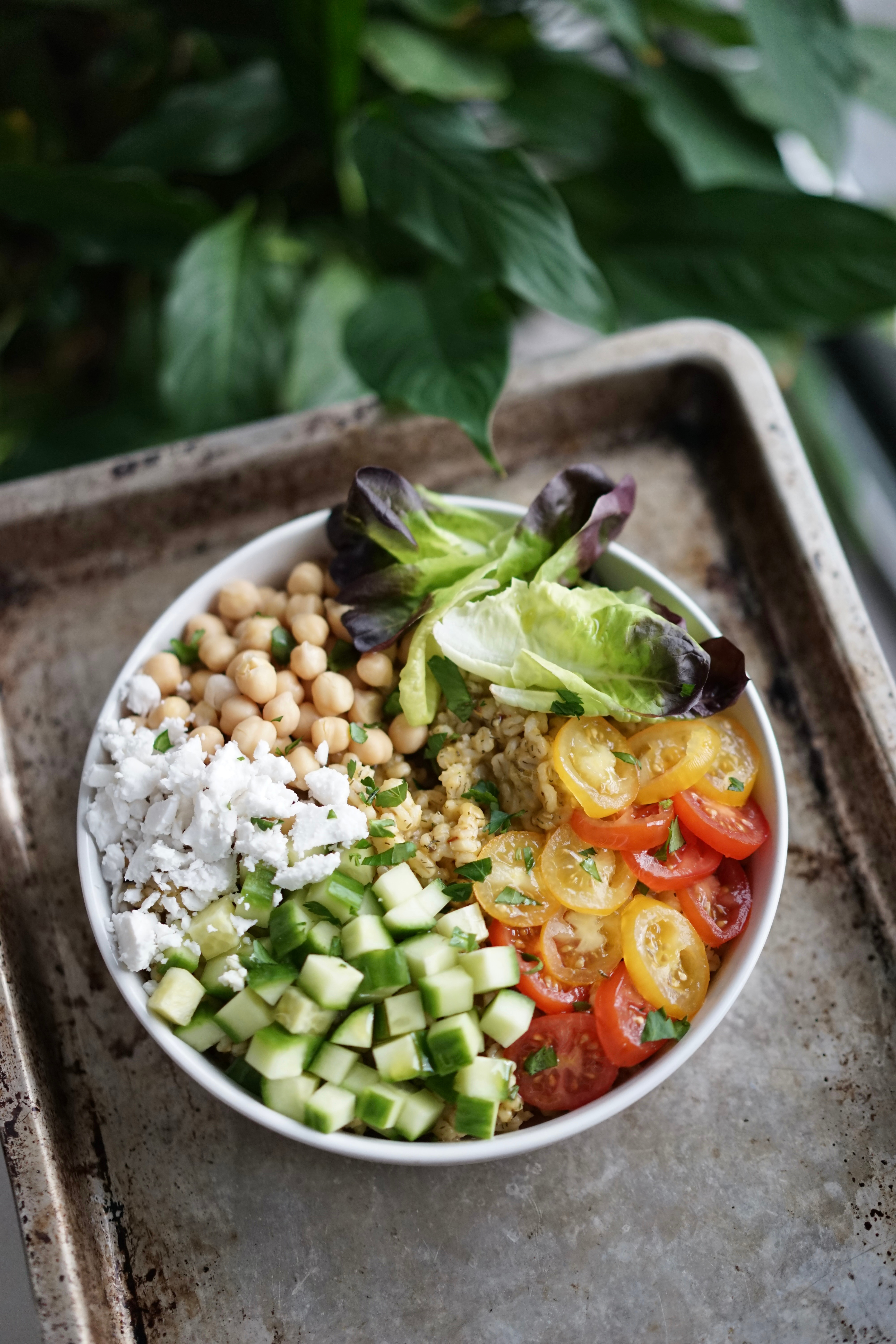 Vegan Greek Grain Bowl | Living Healthy in Seattle