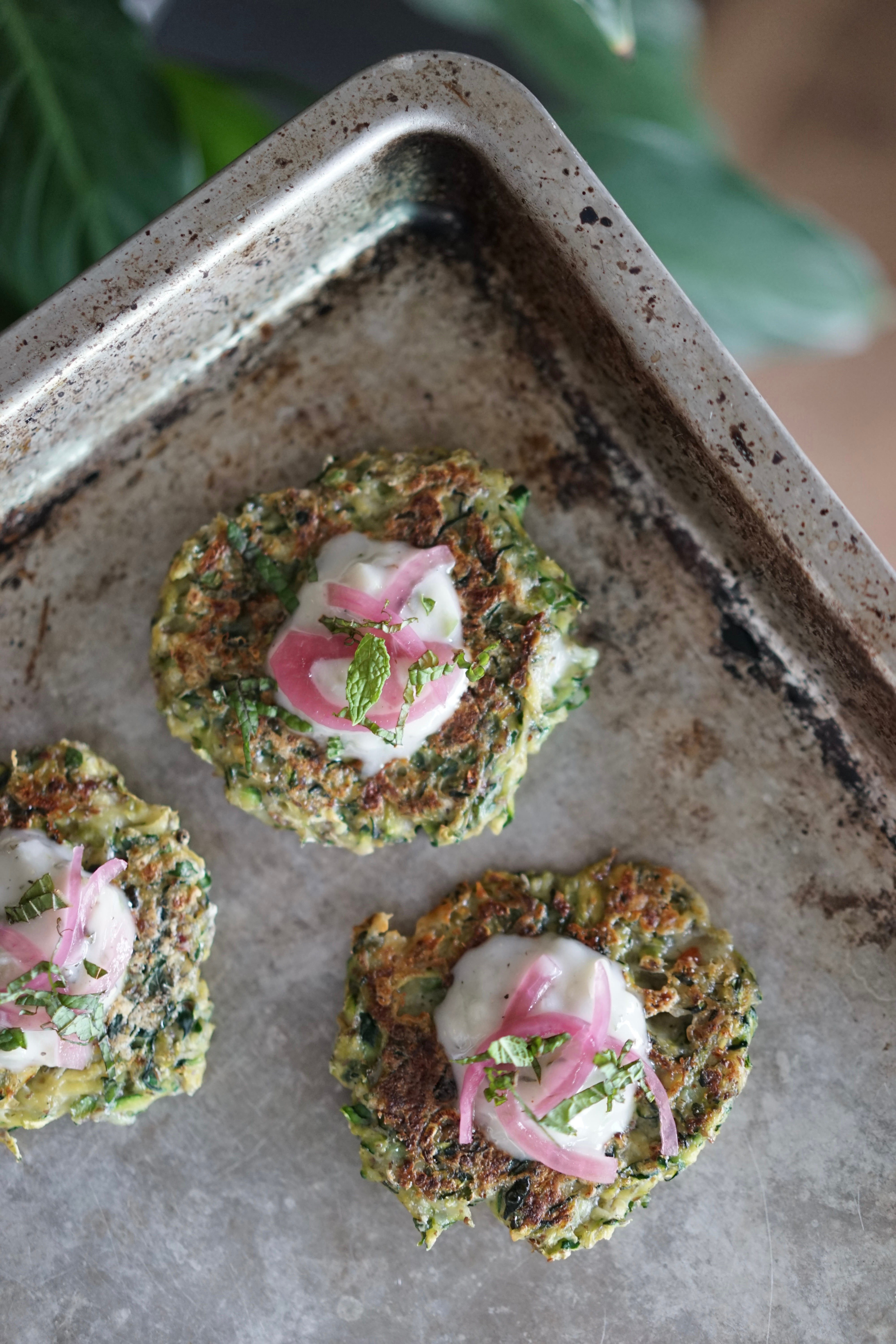 Vegan Zucchini Fritters with Tzatziki & Pickled Onion | Living Healthy in Seattle