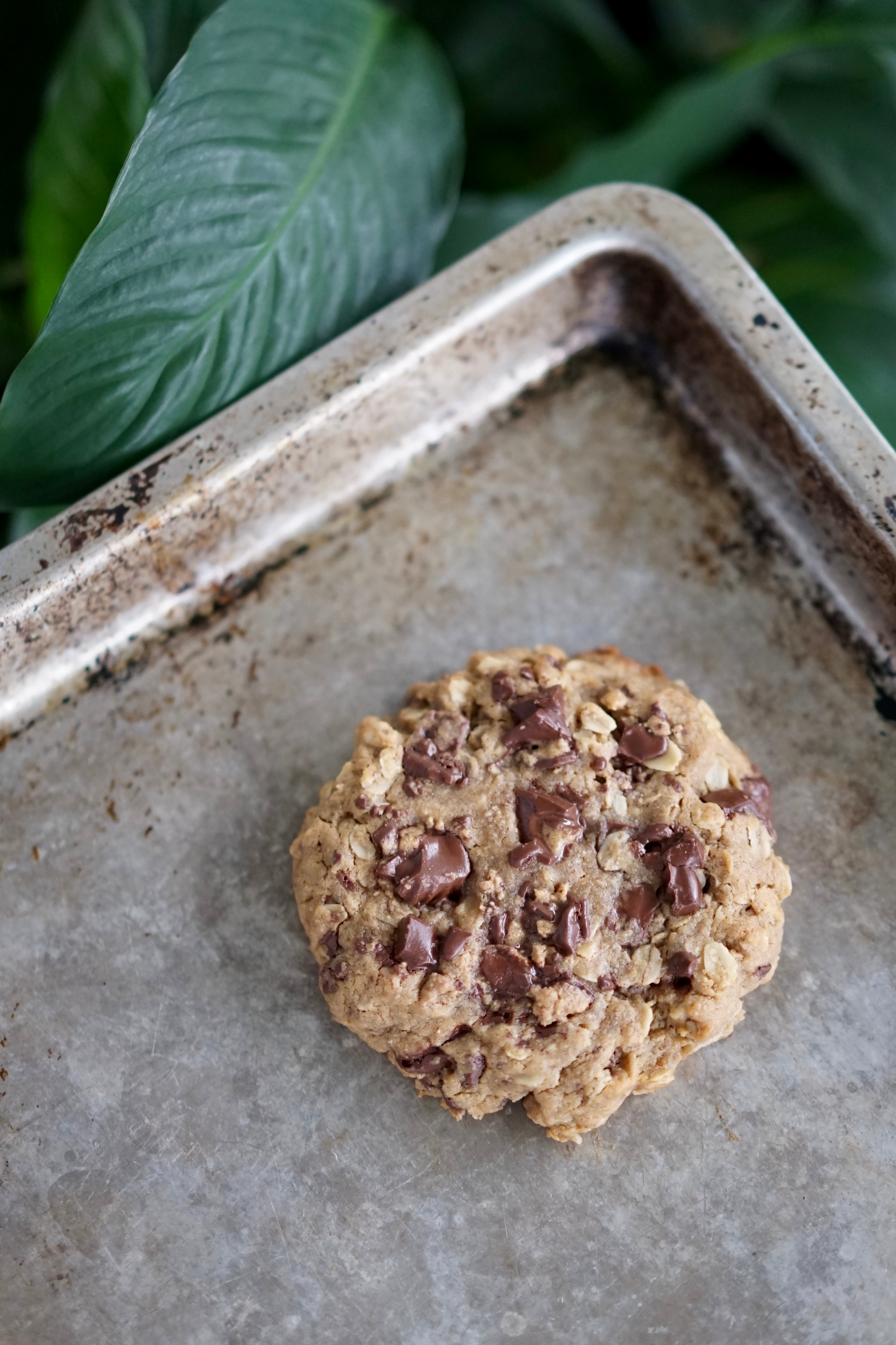 Single Serving Vegan Peanut Butter Oatmeal Cookie with Chocolate Peanut Butter Cup Chunks | Living Healthy in Seattle