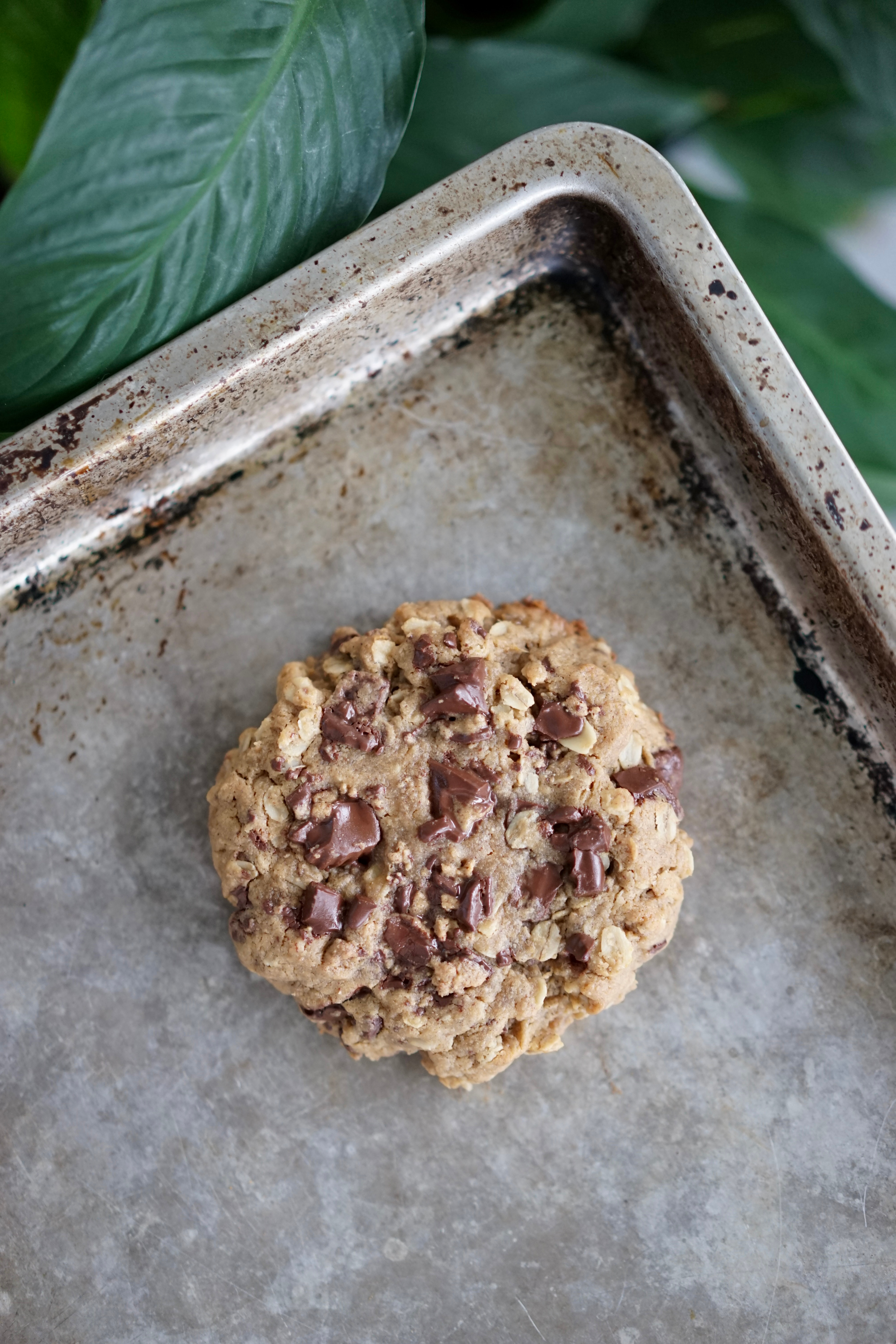 Single Serving Vegan Peanut Butter Oatmeal Cookie with Chocolate Peanut Butter Cup Chunks | Living Healthy in Seattle