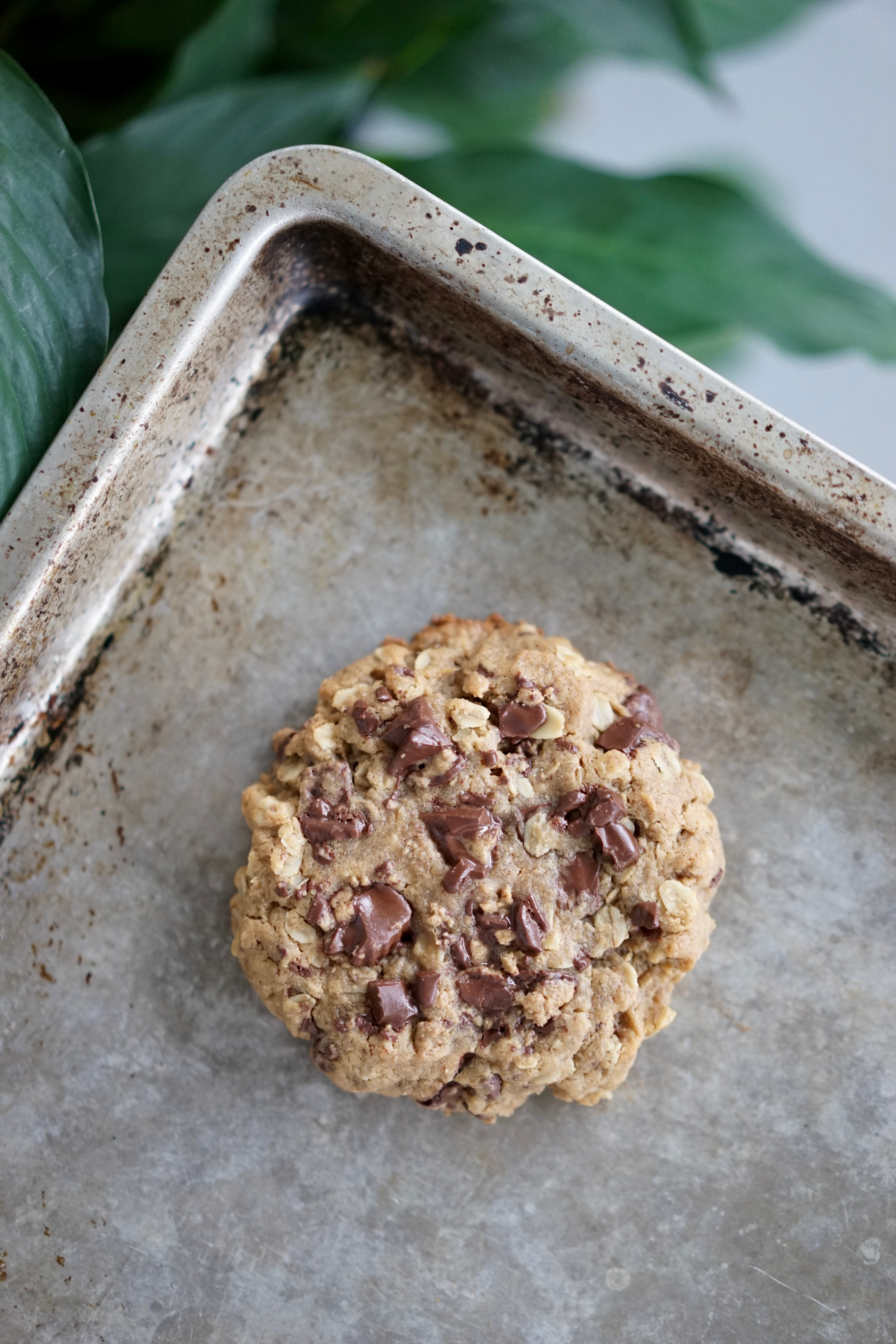 Single Serving Vegan Peanut Butter Oatmeal Cookie with Chocolate Peanut Butter Cup Chunks | Living Healthy in Seattle