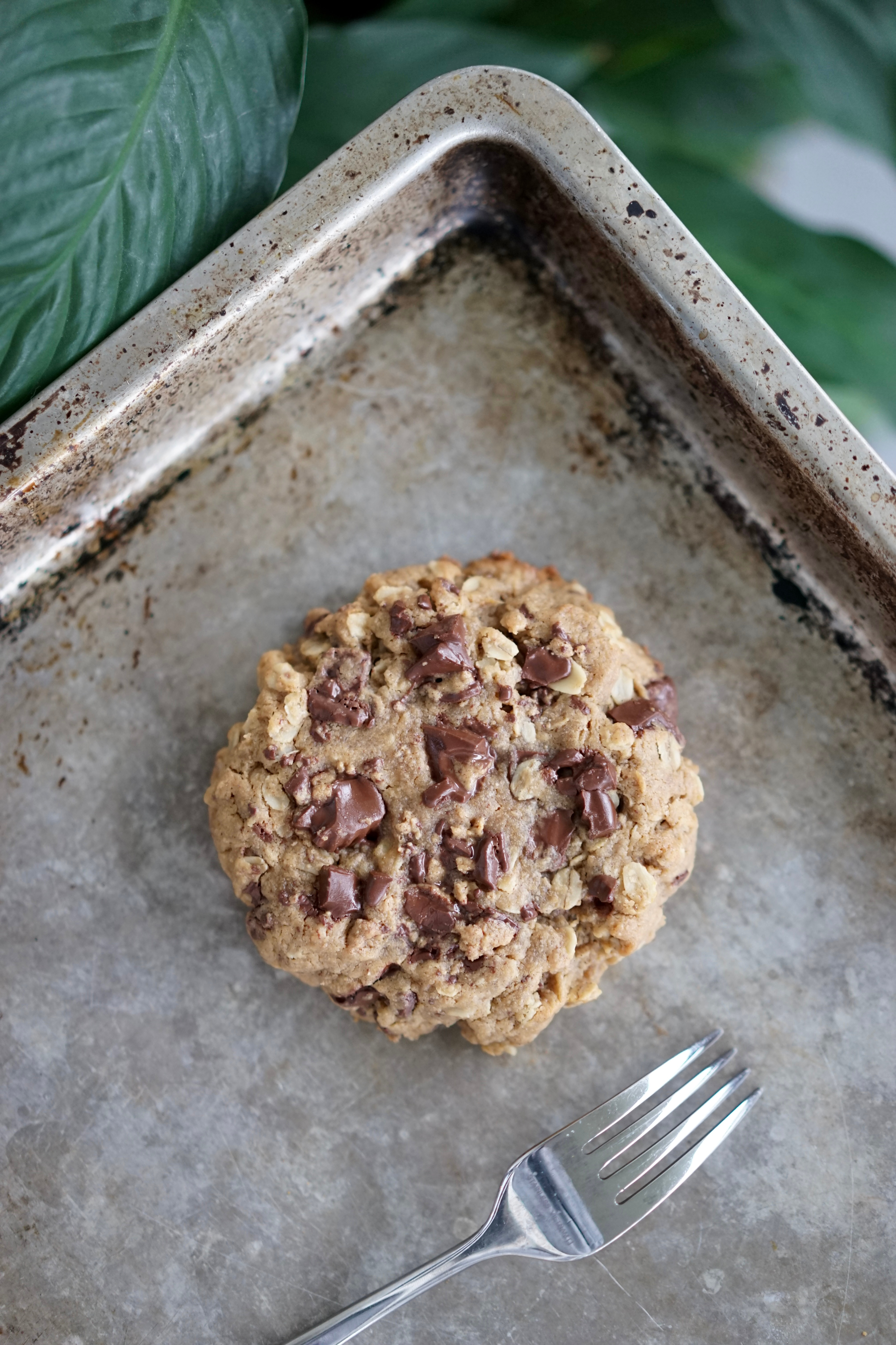 Single Serving Vegan Peanut Butter Oatmeal Cookie with Chocolate Peanut Butter Cup Chunks | Living Healthy in Seattle