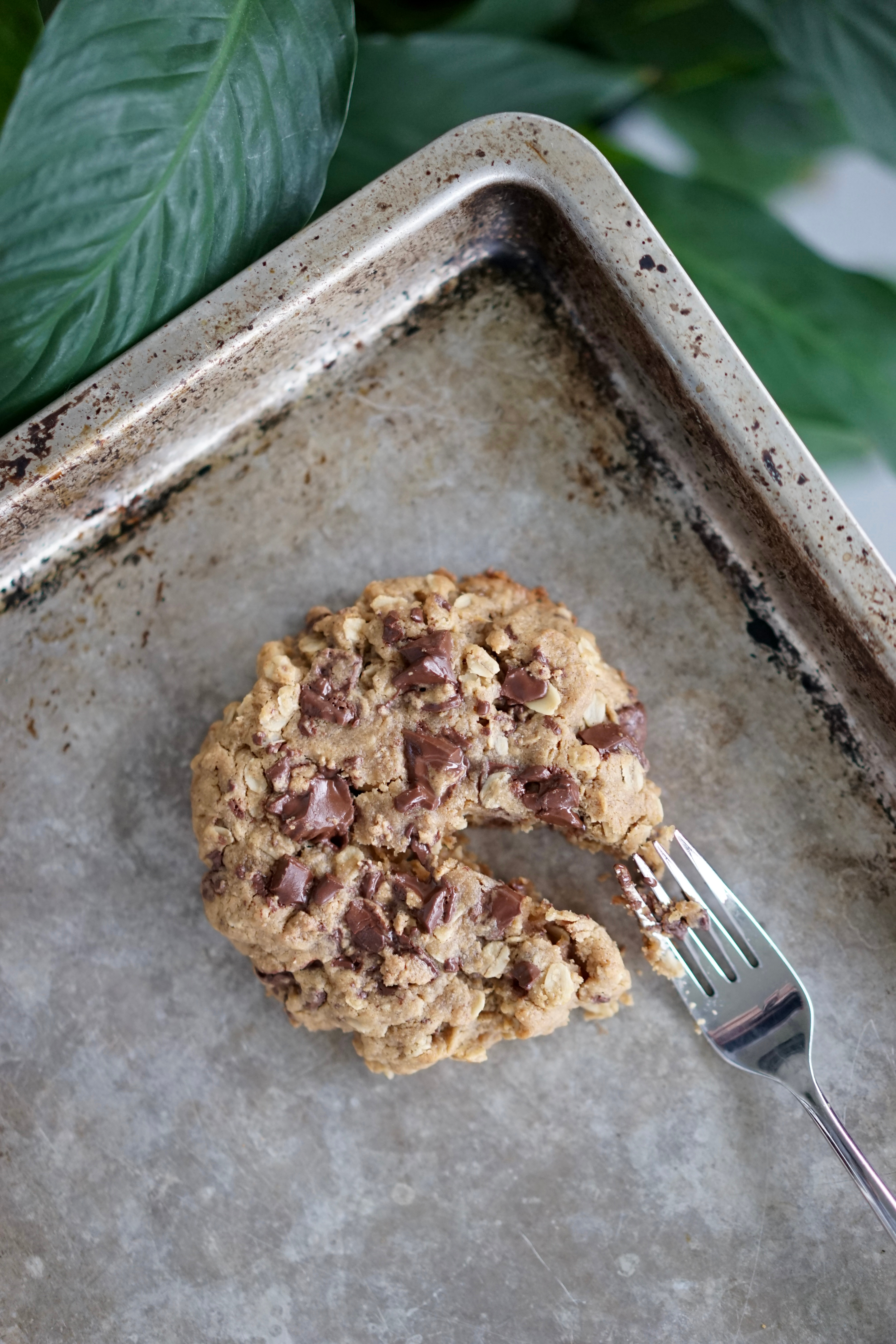 Single Serving Vegan Peanut Butter Oatmeal Cookie with Chocolate Peanut Butter Cup Chunks | Living Healthy in Seattle