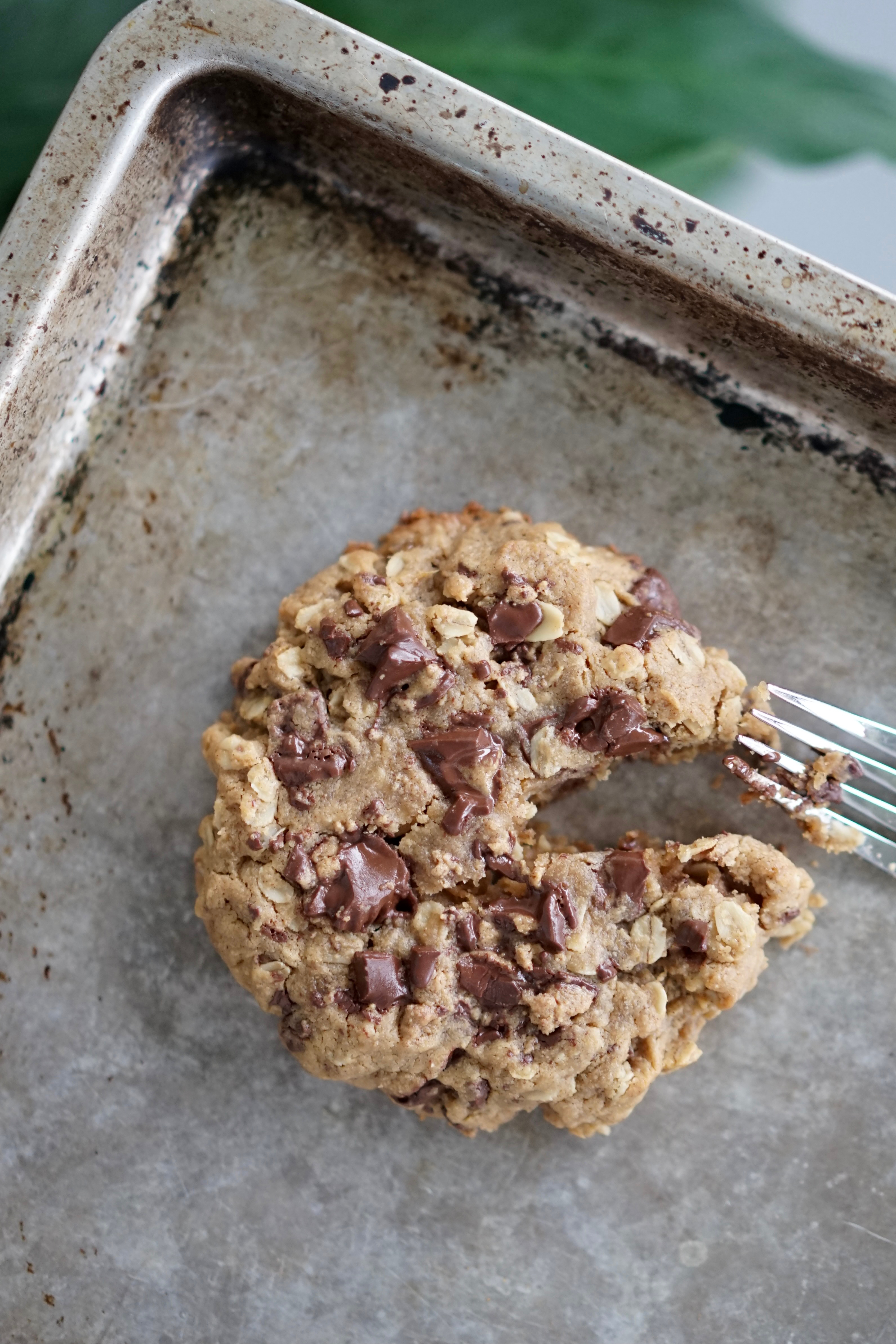 Single Serving Vegan Peanut Butter Oatmeal Cookie with Chocolate Peanut Butter Cup Chunks | Living Healthy in Seattle