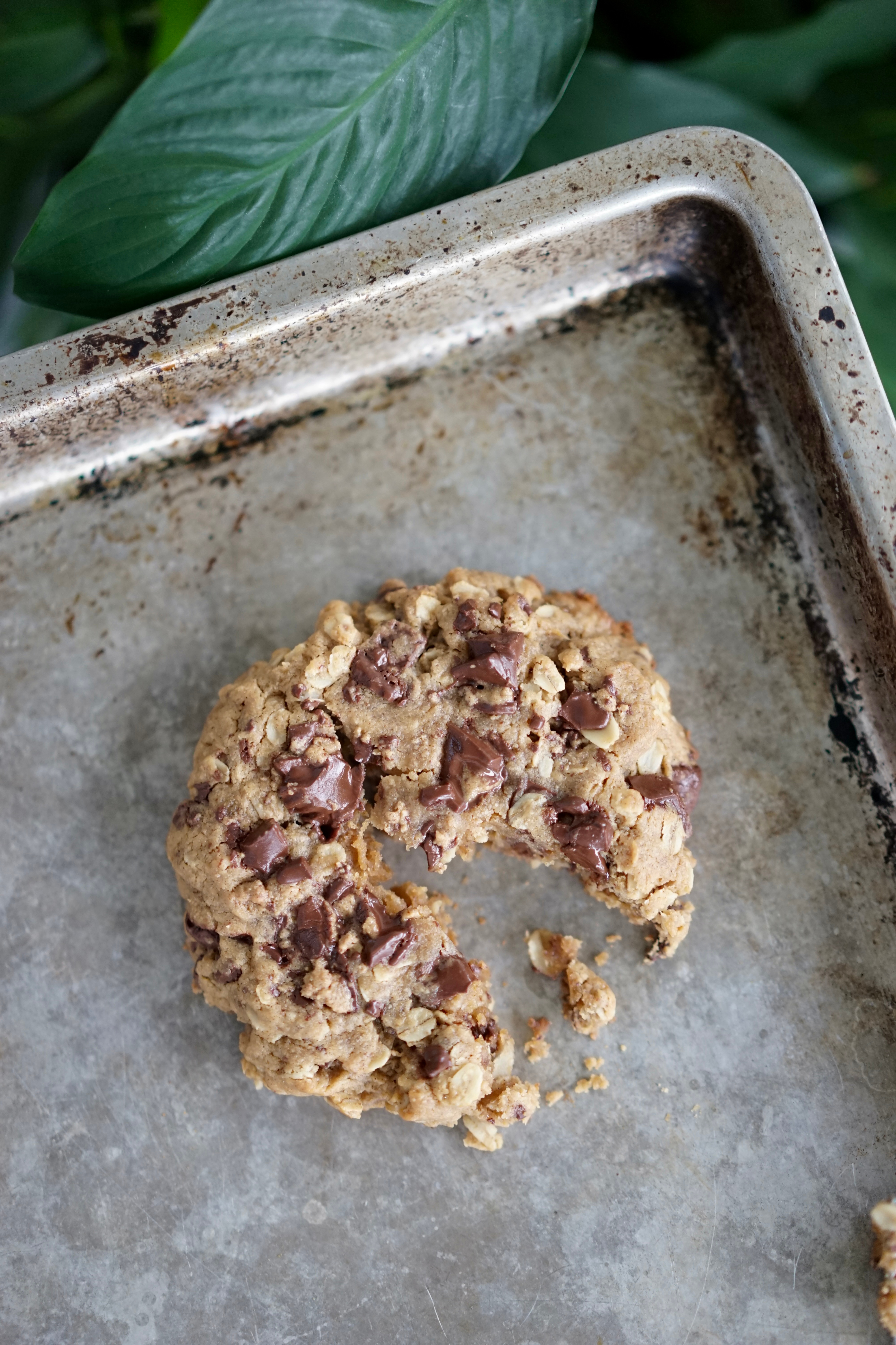 Single Serving Vegan Peanut Butter Oatmeal Cookie with Chocolate Peanut Butter Cup Chunks | Living Healthy in Seattle