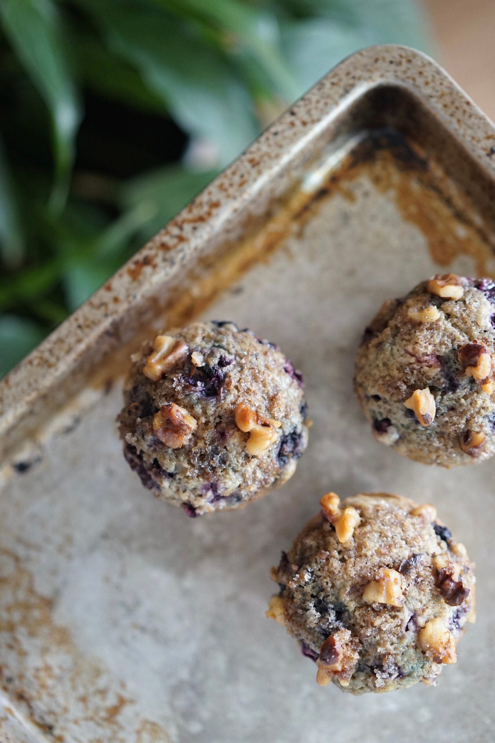 Vegan Blueberry Muffin | Living Healthy in Seattle