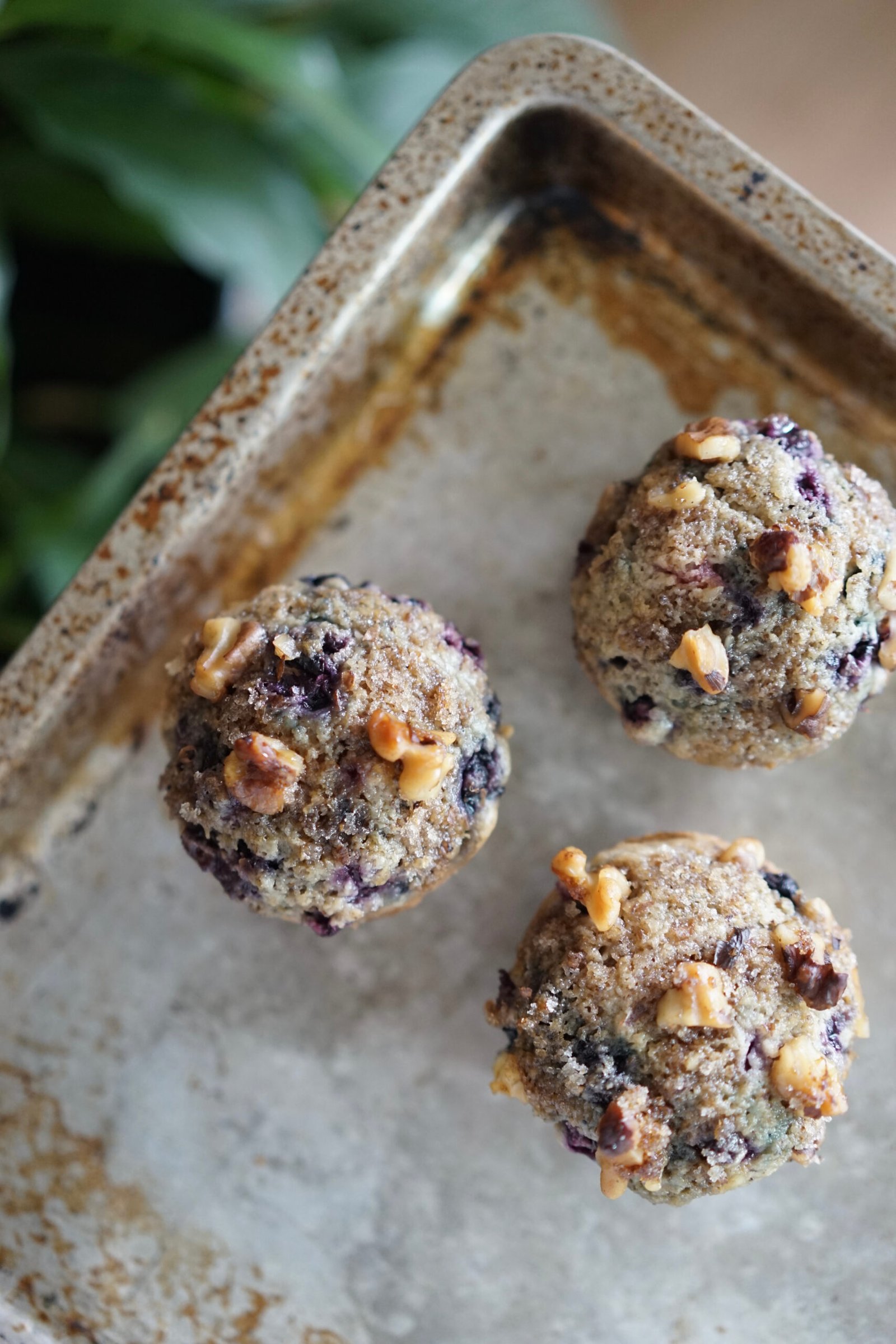 Vegan Blueberry Muffin | Living Healthy in Seattle