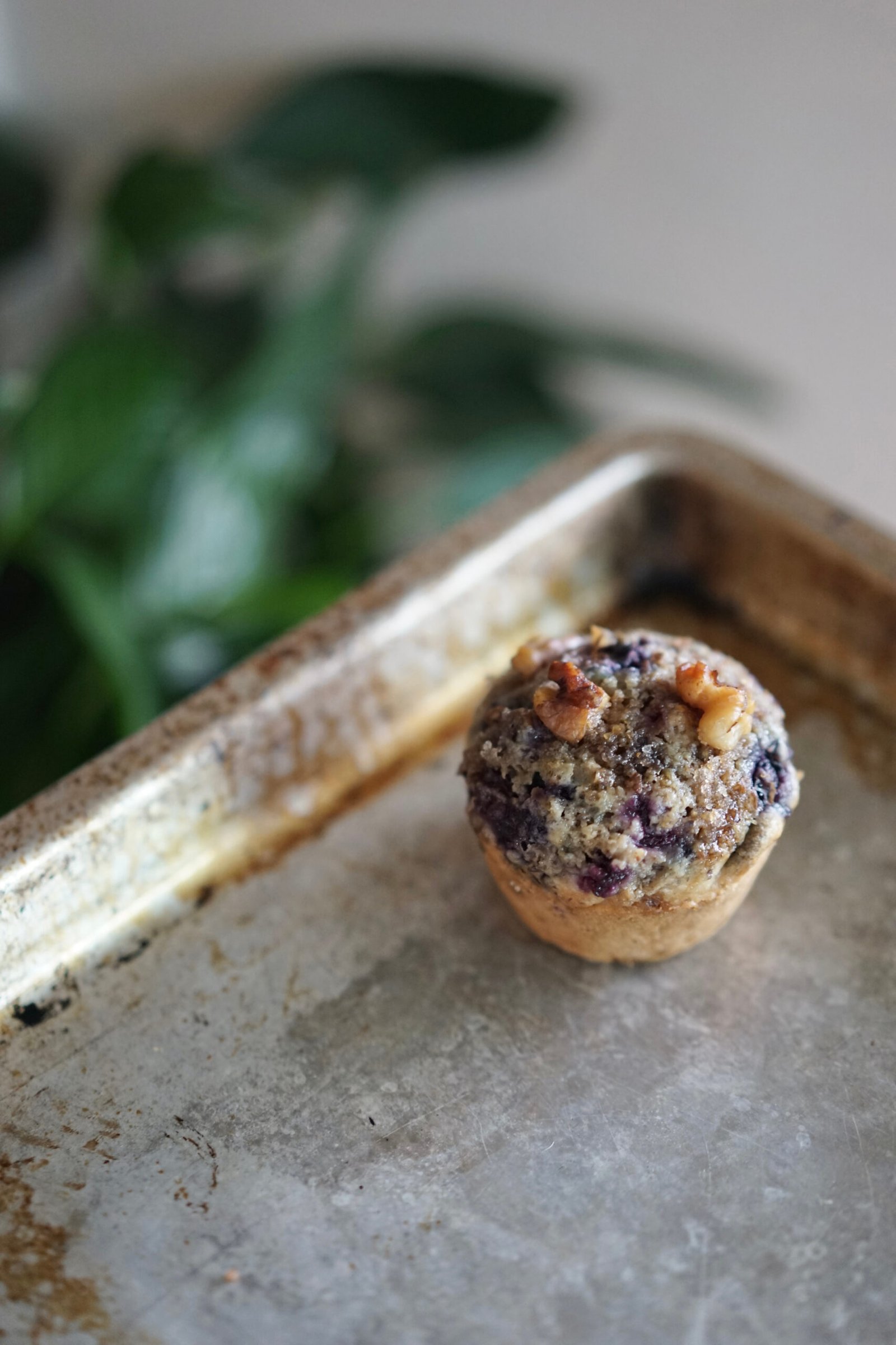 Vegan Blueberry Muffin | Living Healthy in Seattle