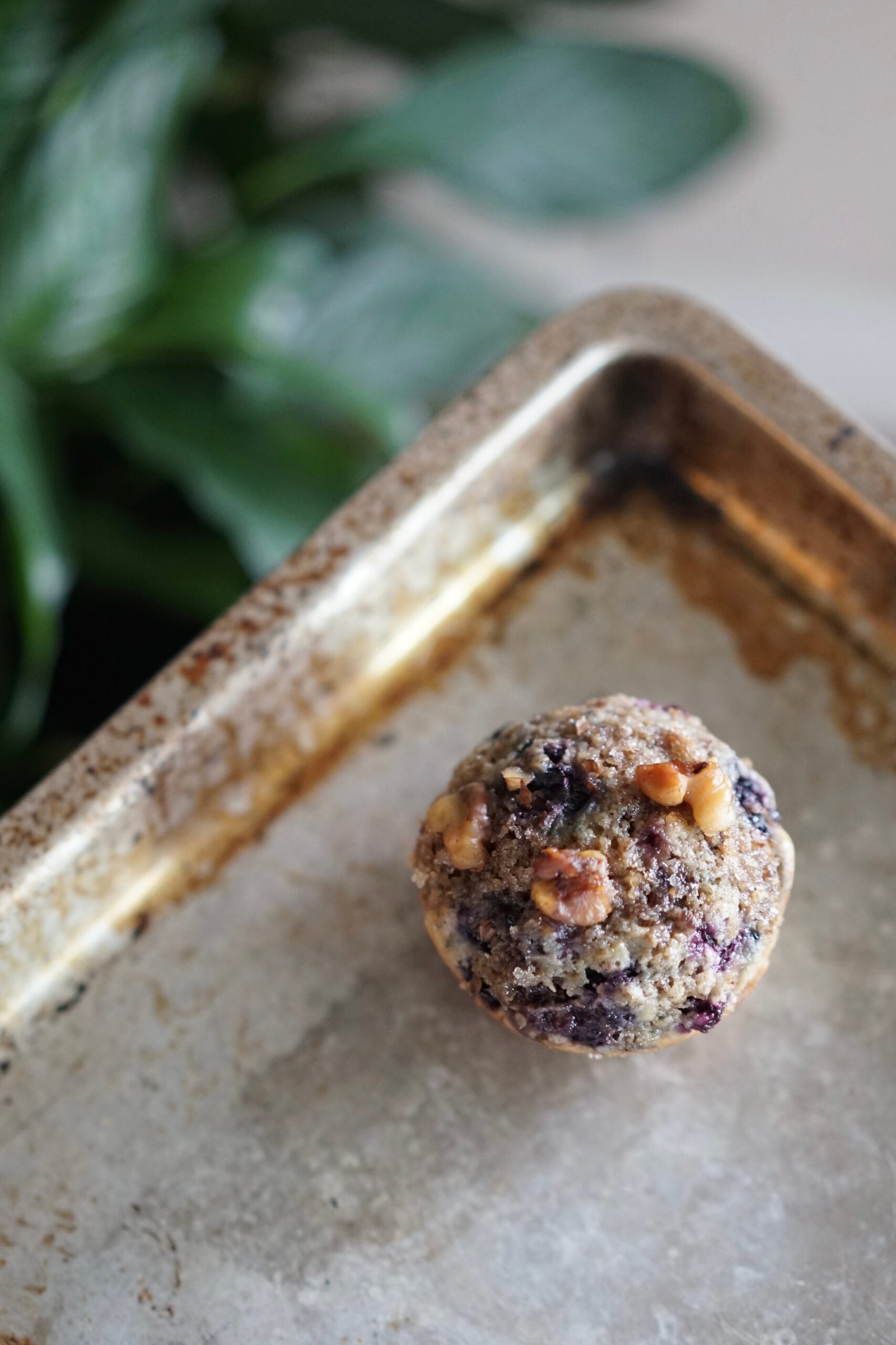 Vegan Blueberry Muffin | Living Healthy in Seattle