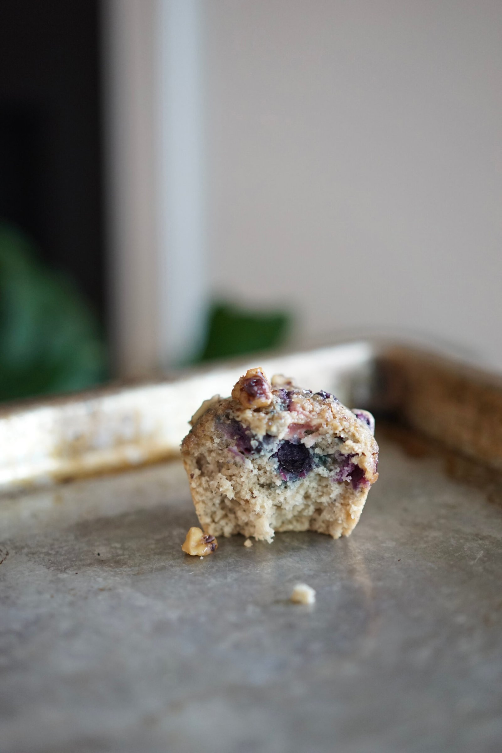 Vegan Blueberry Muffin | Living Healthy in Seattle