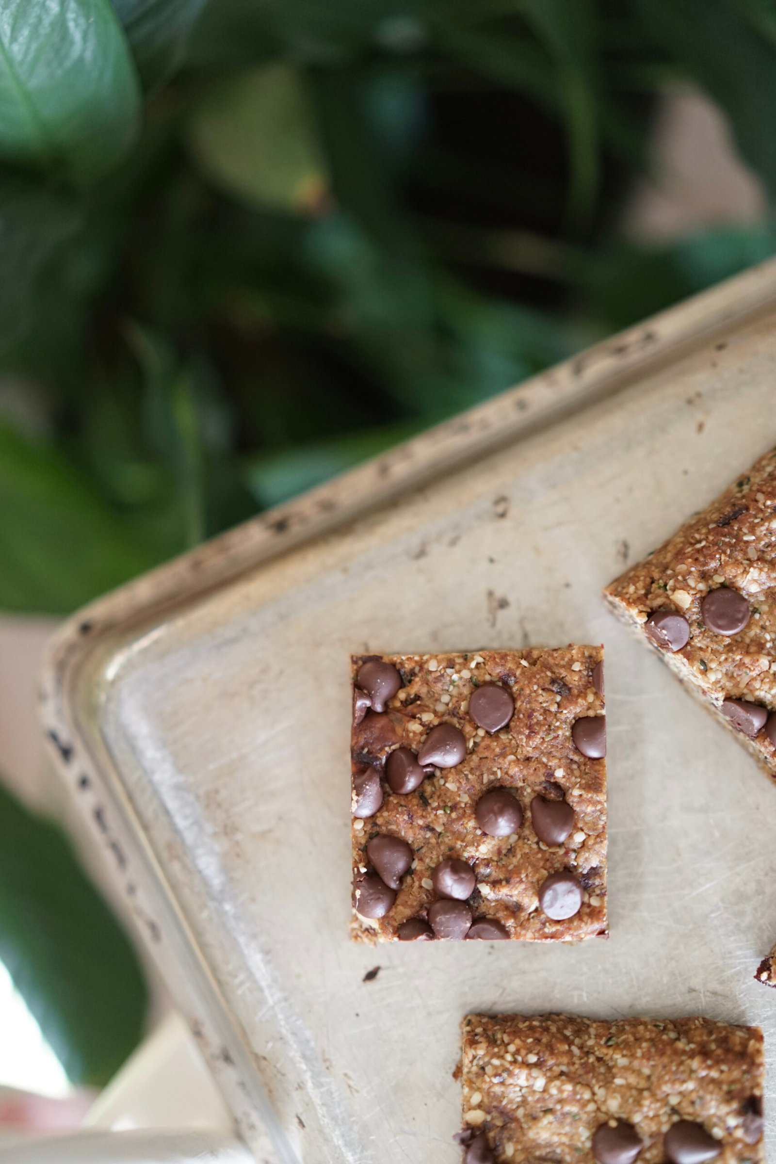 Chocolate Chip Tahini Power Bars | Living Healthy in Seattle
