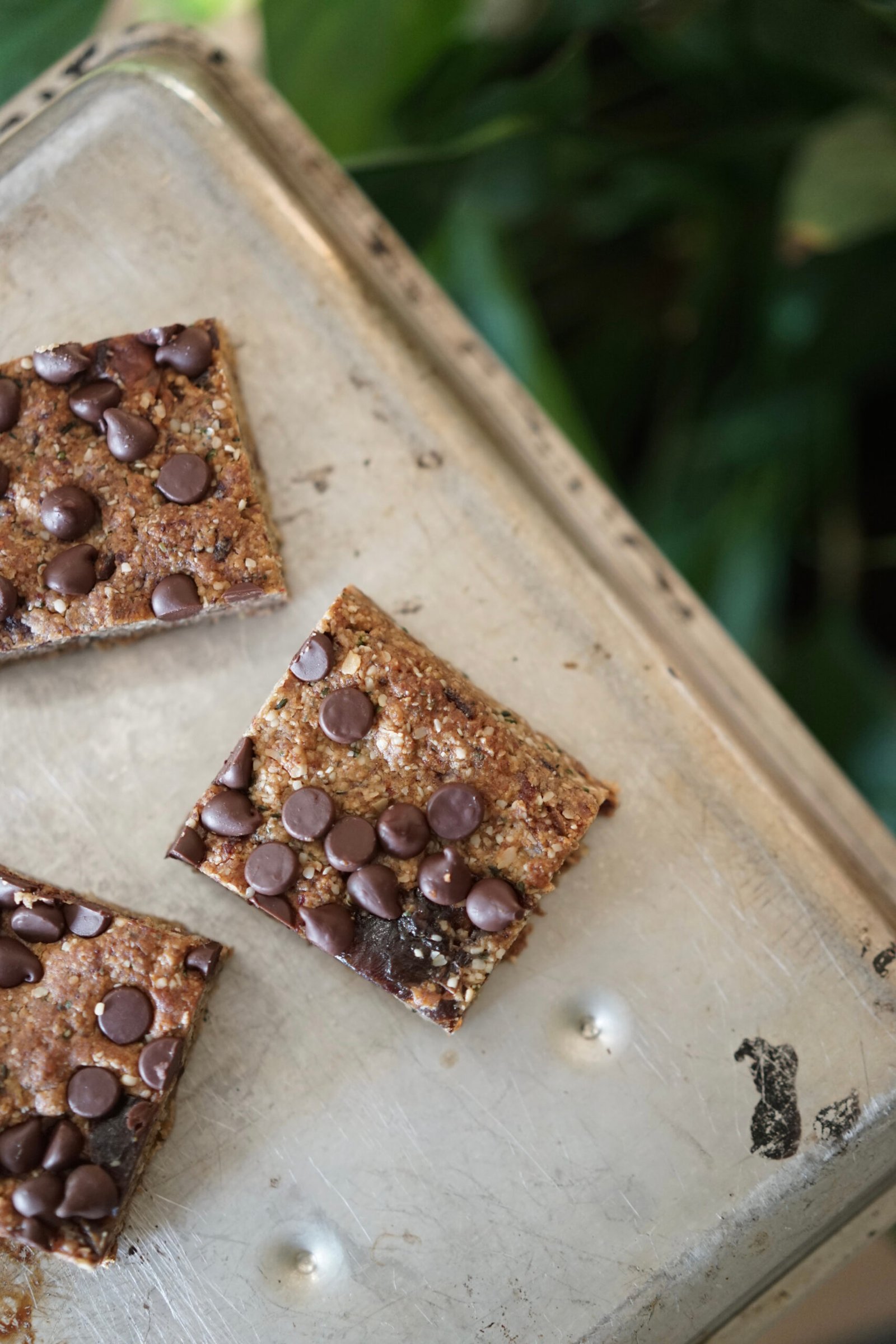 Chocolate Chip Tahini Power Bars | Living Healthy in Seattle